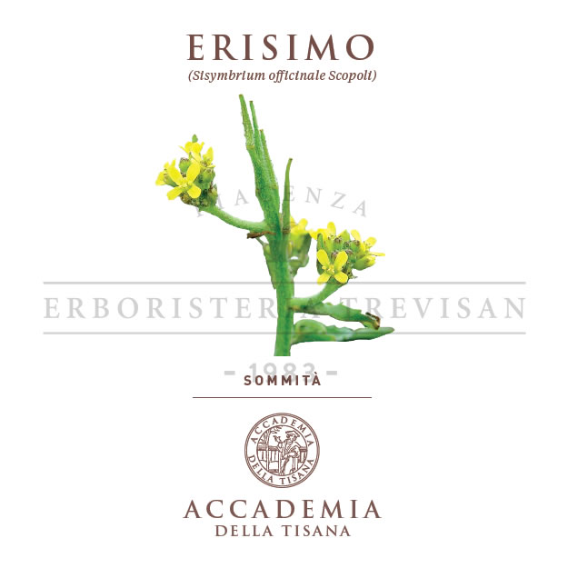 Erisimo