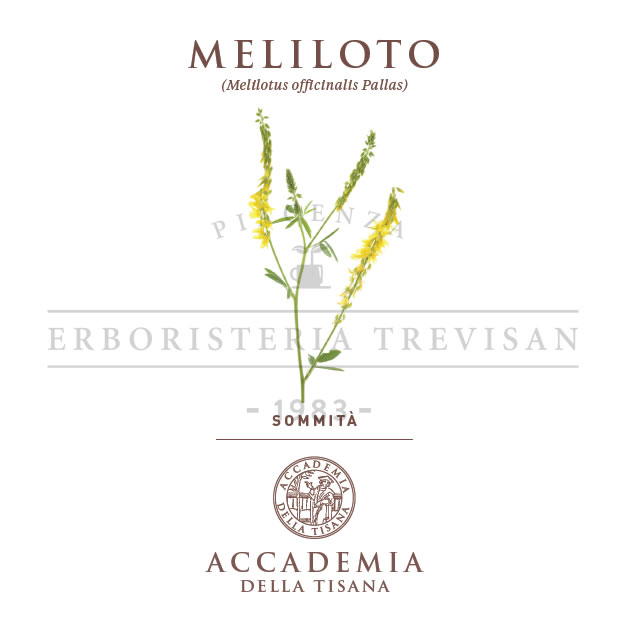 Meliloto
