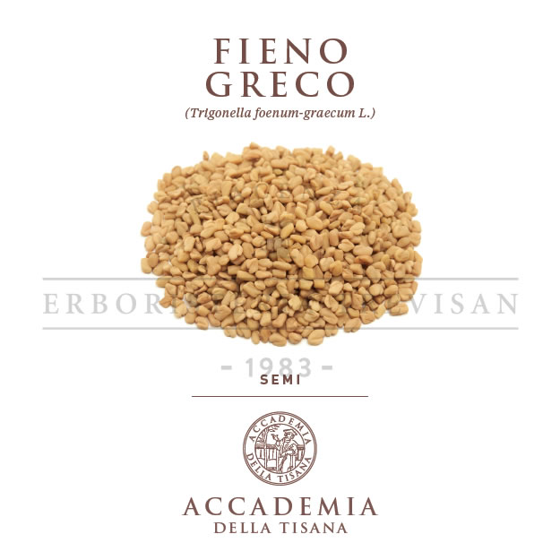 Fieno greco semi