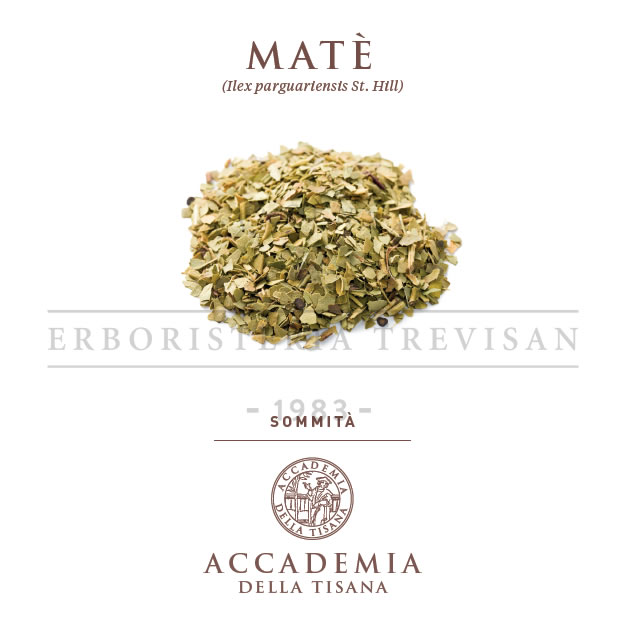 Matè