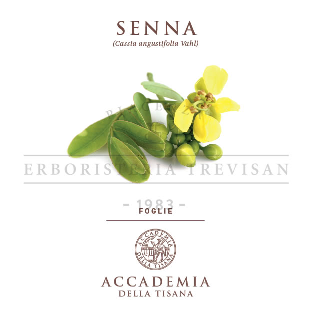 Senna